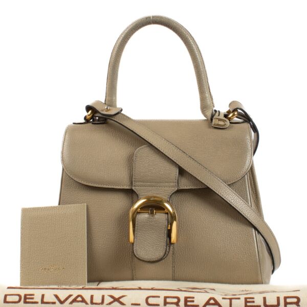 Delvaux Taupe Leather Brillant PM Bag
