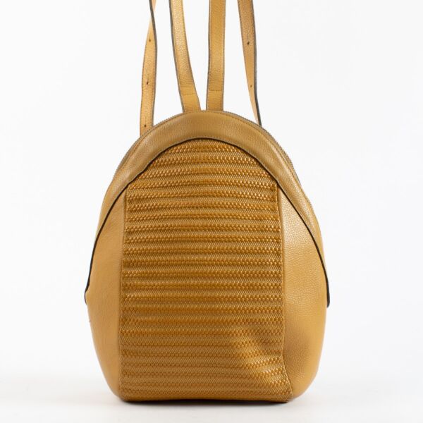 Authentic Second Hand Delvaux Yellow Azov Backpack on Labellov.com