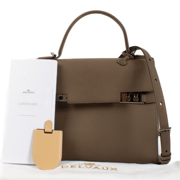 Delvaux Taupe Crispy Calf Tempête MM