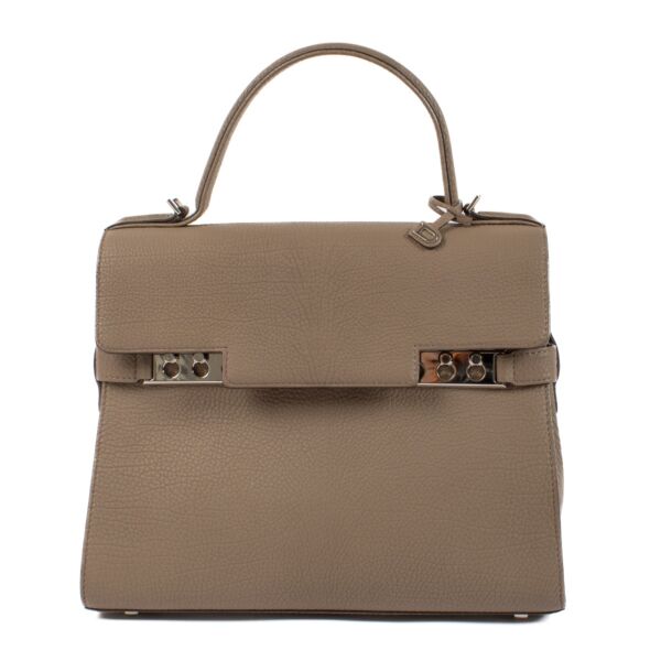 shop 100% authentic second hand Delvaux Taupe Crispy Calf Tempête MM on Labellov.com
