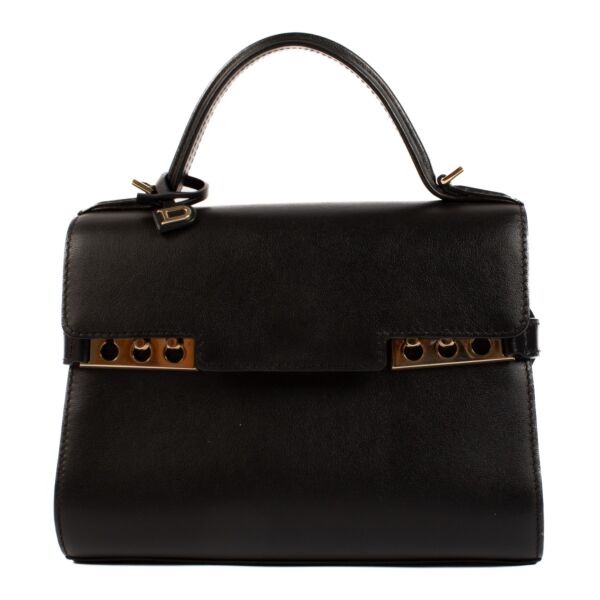 shop 100% authentic second hand Delvaux Black Calf Souple Tempête Mini on Labellov.com