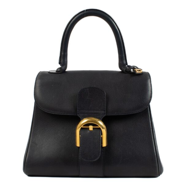 Shop 100% authentic second hand Delvaux Blue Brillant PM Bag on Labellov.com