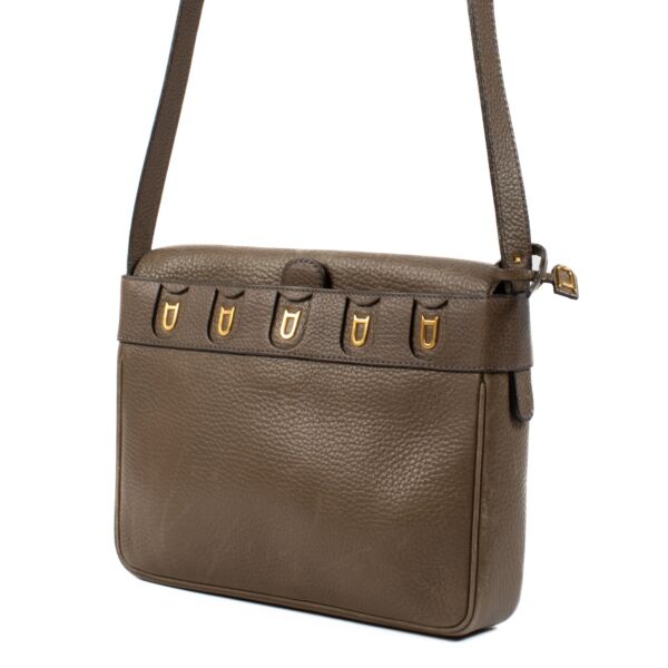 Delvaux Taupe Leather Fuiraire Bag