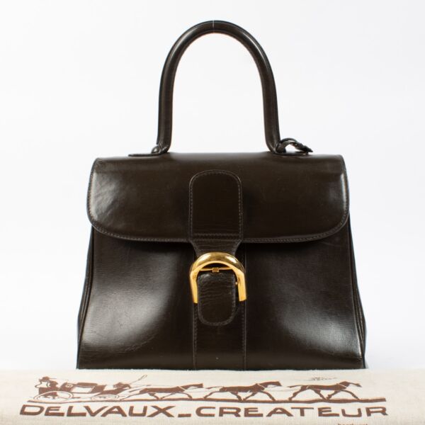 Delvaux Brown Box Brillant MM Bag