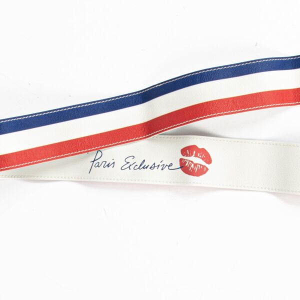 Delvaux Multicolor Paris Exclusive Handle Ribbon