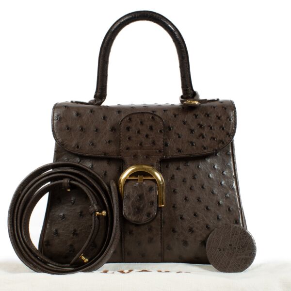 Delvaux  Brown Ostrich Brillant PM Bag + Strap
