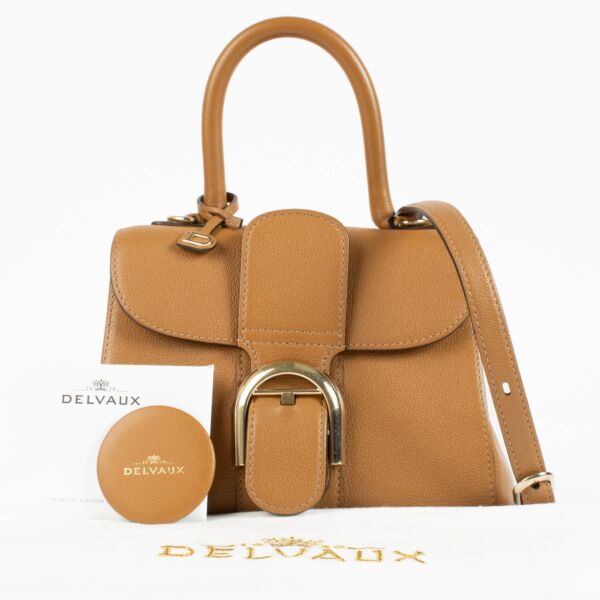 Delvaux Végétal Rodéo Calf Brillant Mini + Strap