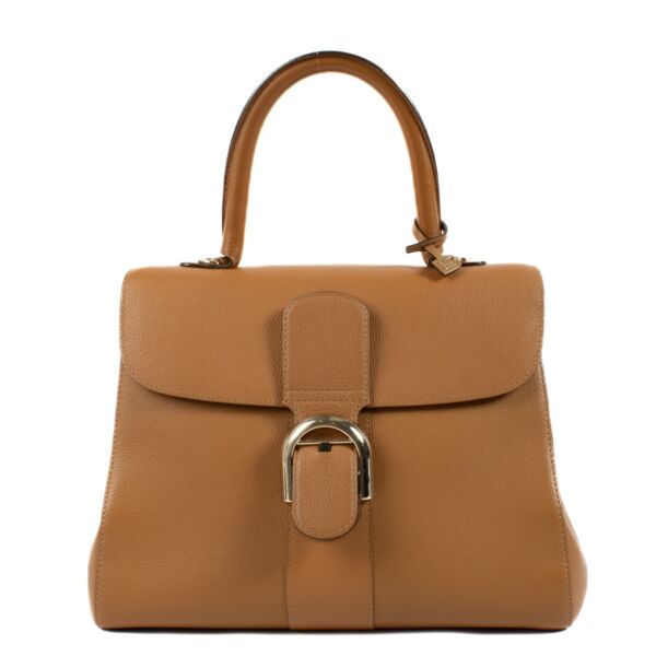 Authentic second hand Delvaux Vegetal Sellier Brillant MM on Labellov.com 