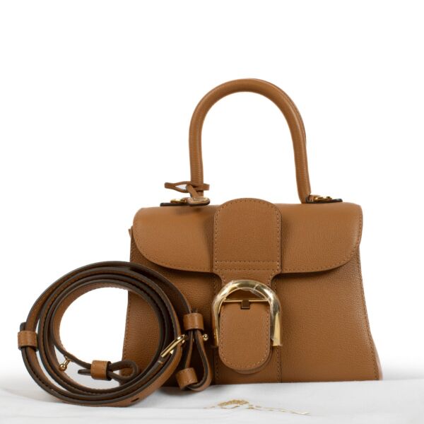 Delvaux Vegetal Rodeo Calf Brillant Mini