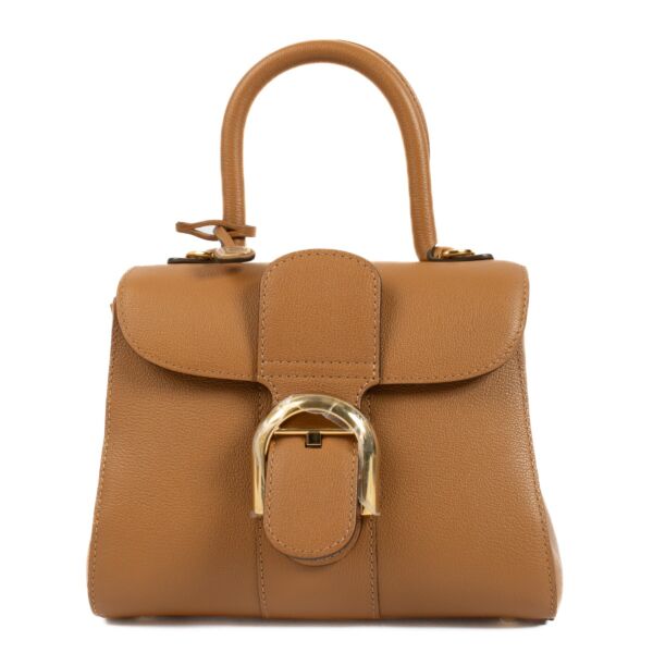 Delvaux Vegetal Rodeo Calf Brillant Mini