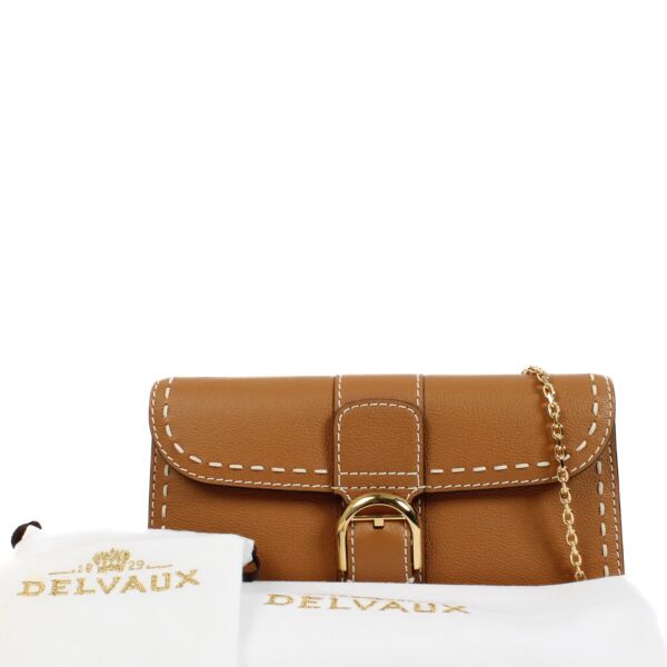 Delvaux Vegetal Rodeo Calf Surpiqué Brillant Chain Long Wallet
