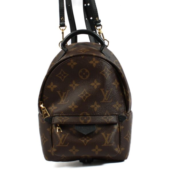Louis Vuitton Monogram Palm Springs Mini Backpack
