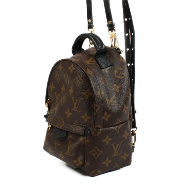 Louis Vuitton Monogram Palm Springs Mini Backpack
