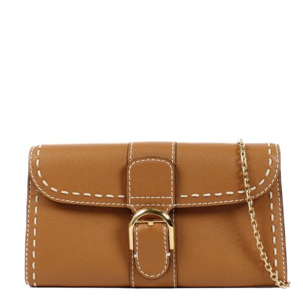 Delvaux Vegetal Rodeo Calf Surpiqué Brillant Chain Wallet