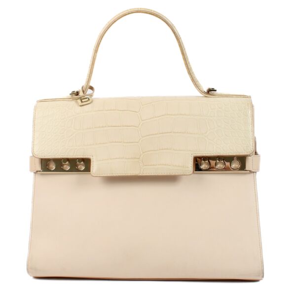 Shop 100% authentic secondhand Delvaux Nude Alligator Dolce/Calf Souple Tempête GM on Labellov.com