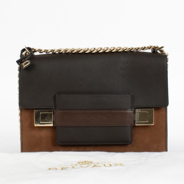 Delvaux Multicolor Madame Chaine Bag