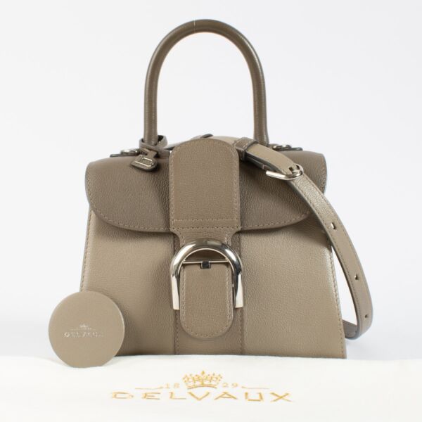 Delvaux Tourterelle Camaïeux Rodeo Calf Brillant Mini