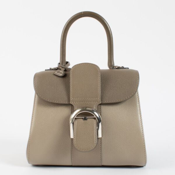 Authentic second hand Delvaux Tourterelle Camaieux Rodeo Calf Brillant Mini on Labellov.com 