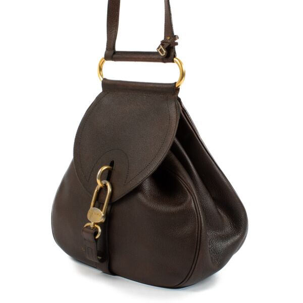 Delvaux Brown Leather Cerceau GM Bag