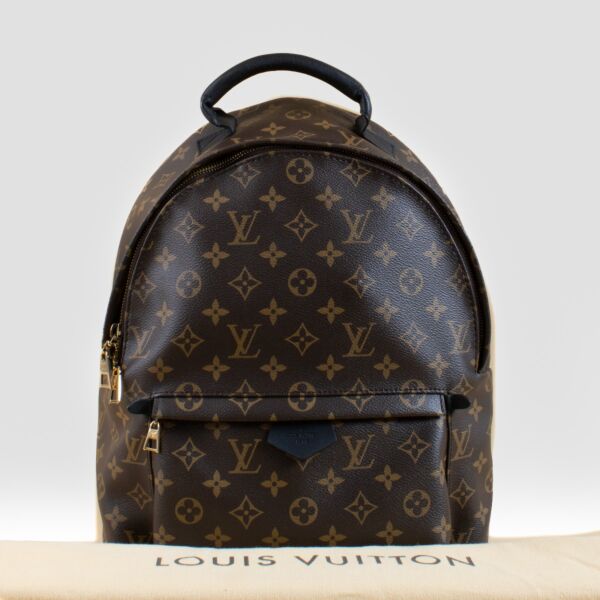 Louis Vuitton Monogram Palm Springs MM Backpack
