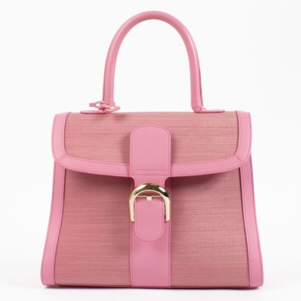 Authentic second hand Delvaux Flamingo Toile de Crin/Polo Brillant MM on Labellov.com