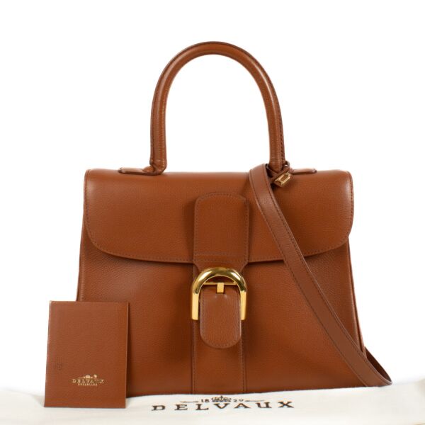 Delvaux Alezan Jumping Brillant MM