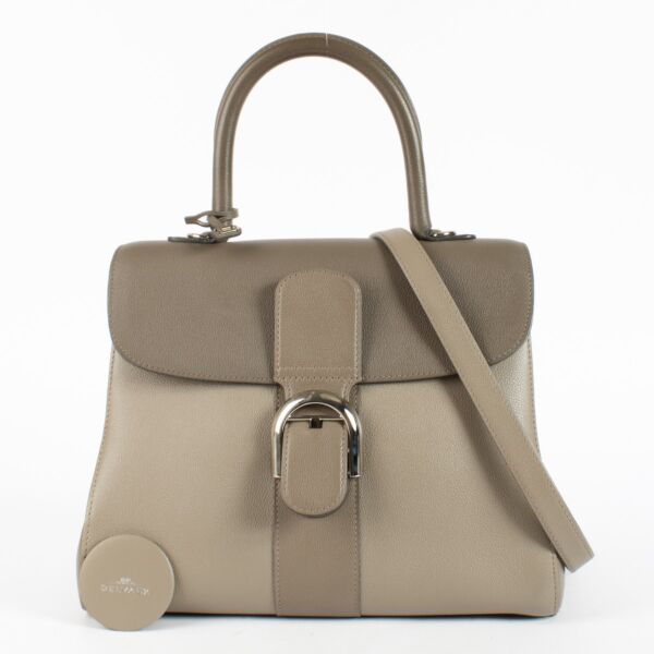 Delvaux Tourterelle Camaieux Brillant MM