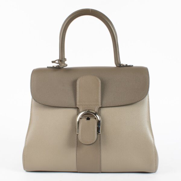 authentic preloved Delvaux Tourterelle Camaieux Brillant MM on Labellov.com