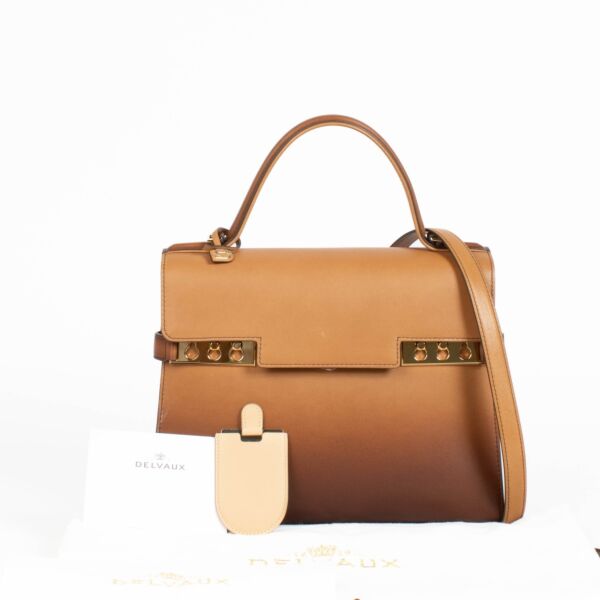 Delvaux Vegetal Dream Phantom Tempête MM