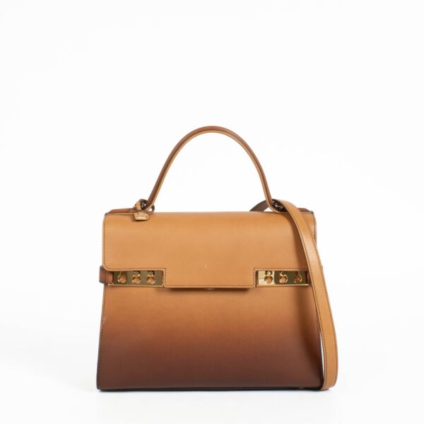 Authentic pre-loved Delvaux Vegetal Dream Phantom Tempête MM on Labellov.com 