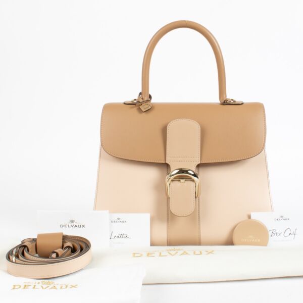 Delvaux Nude Camaieux Box Calf Brillant MM Bag