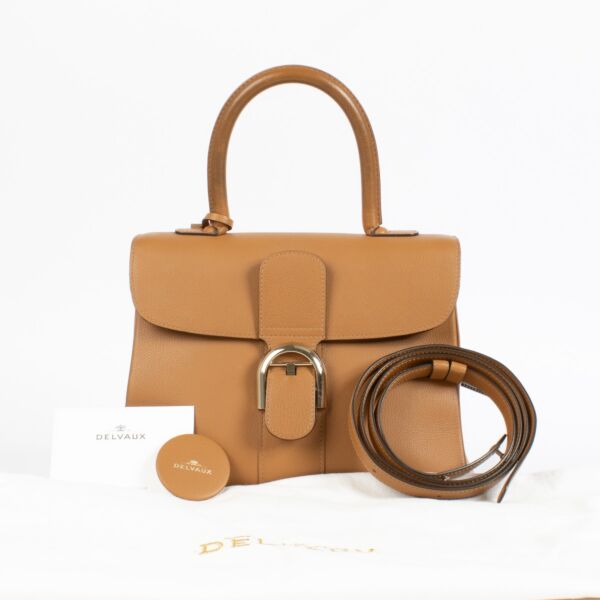 Delvaux Vegetal Sellier Brillant MM Bag