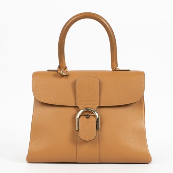 Delvaux Vegetal Sellier Brillant MM Bag