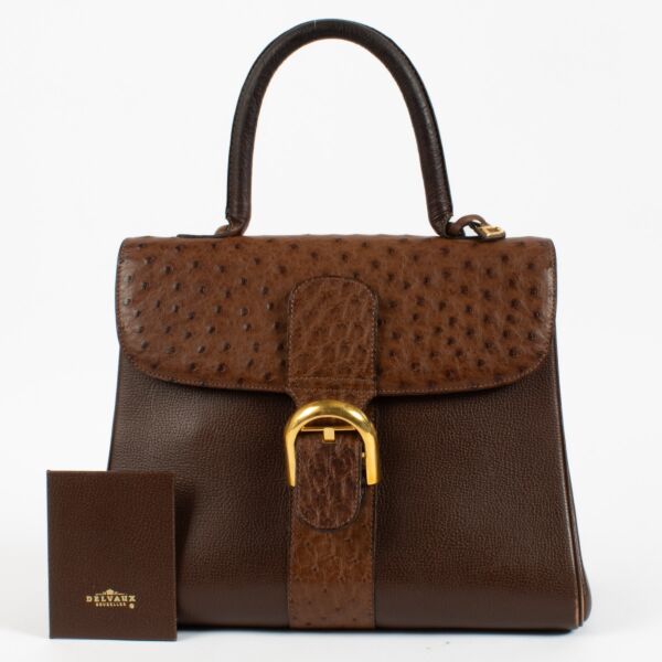 Delvaux Brown Ostrich/Trotteur Brillant MM