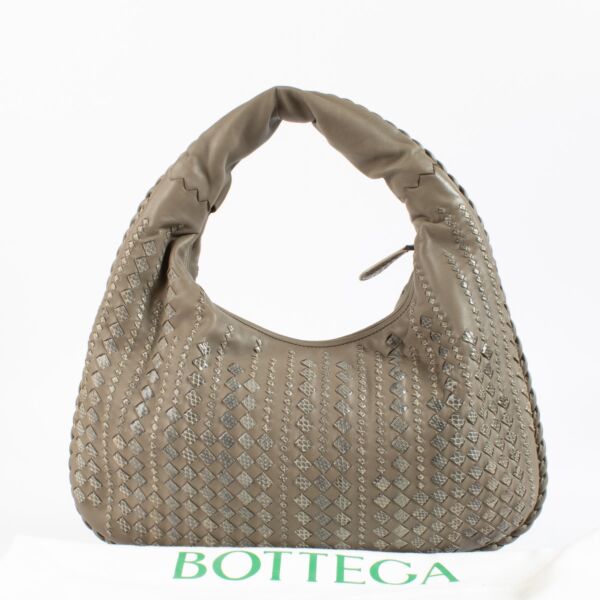 Bottega Veneta Taupe Python Hobo Bag