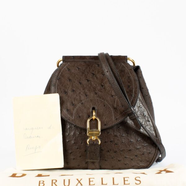 Delvaux Brown Ostrich Cerceau PM Bag