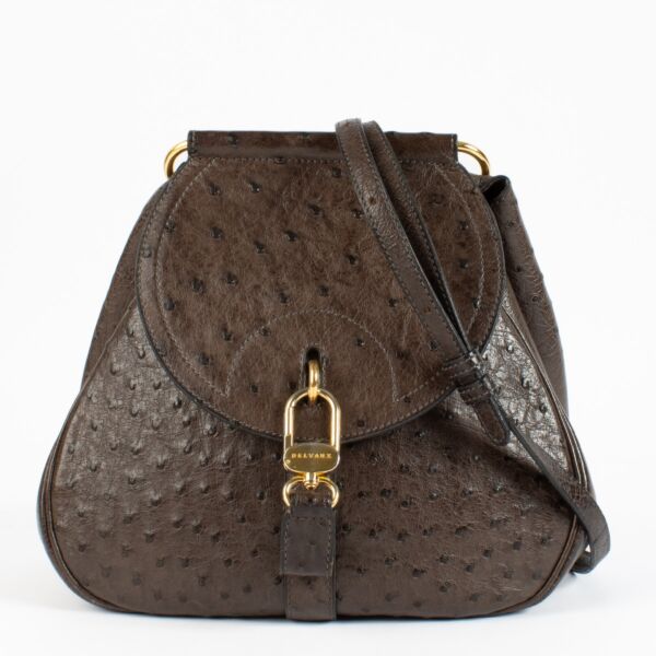 Delvaux Brown Ostrich Cerceau PM Bag