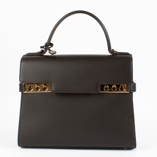 Delvaux Ebene Calf Souple Tempete MM