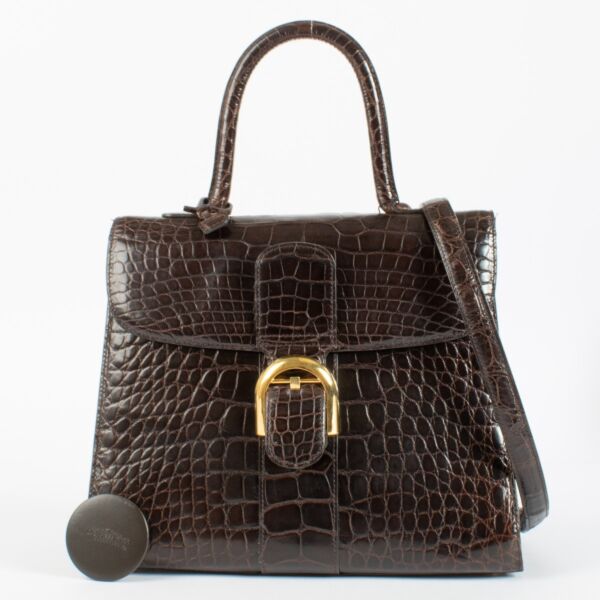 Delvaux Brown Shiny Alligator Brillant MM
