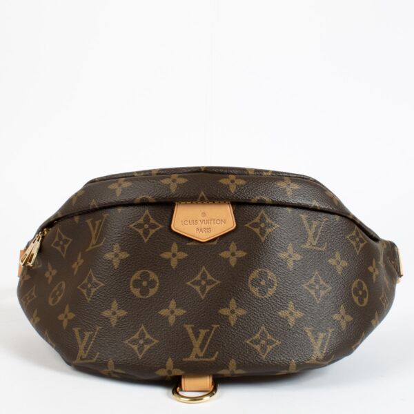 Louis Vuitton Monogram Bumbag