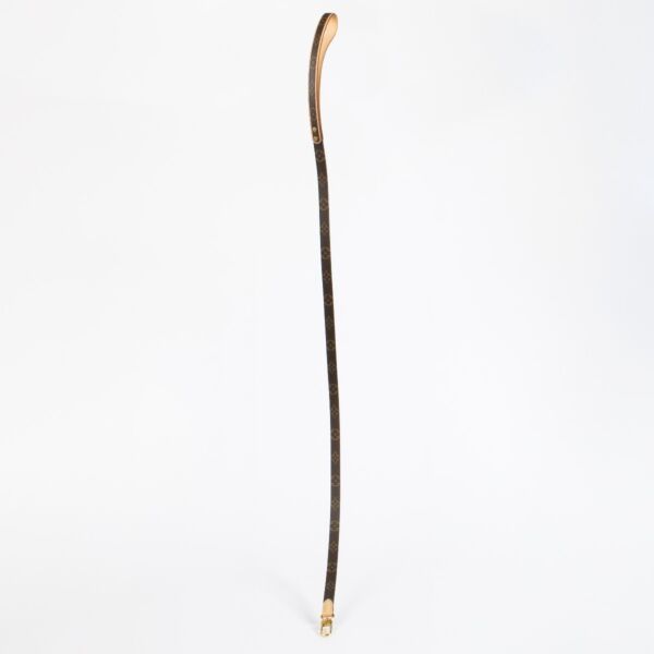 Louis Vuitton Monogram Dog Leash PM