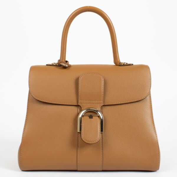 authentic preloved Delvaux Vegetal Rodeo Calf Brillant MM on Labellov.com