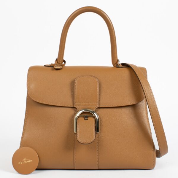 authentic preloved Delvaux Brillant MM in Vegetal Rodéo Calf on Labellov.com