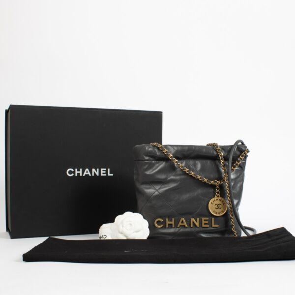 Chanel Grey Chanel 22 Mini Bag