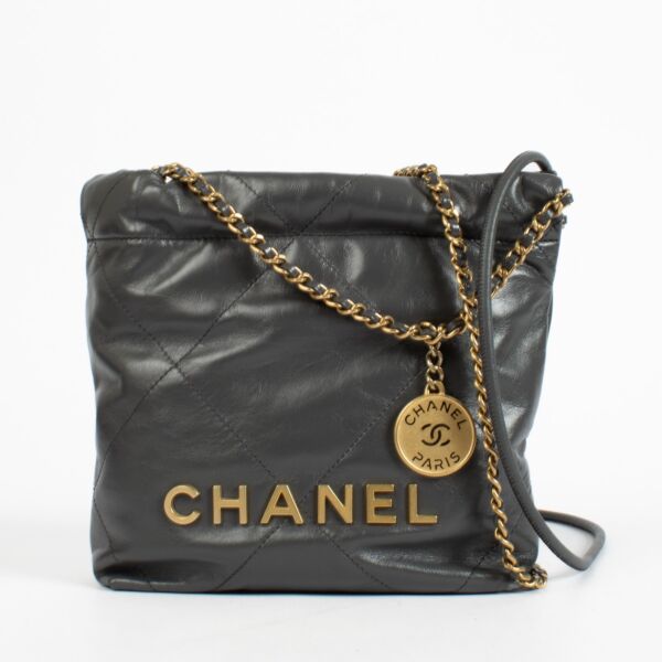 Chanel Grey Chanel 22 Mini Bag