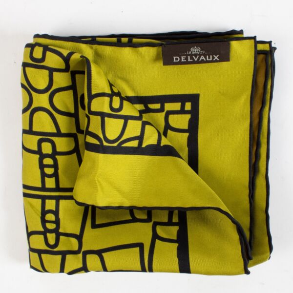 Authentic Second Hand Delvaux Brillant Print Scarf on Labellov.com