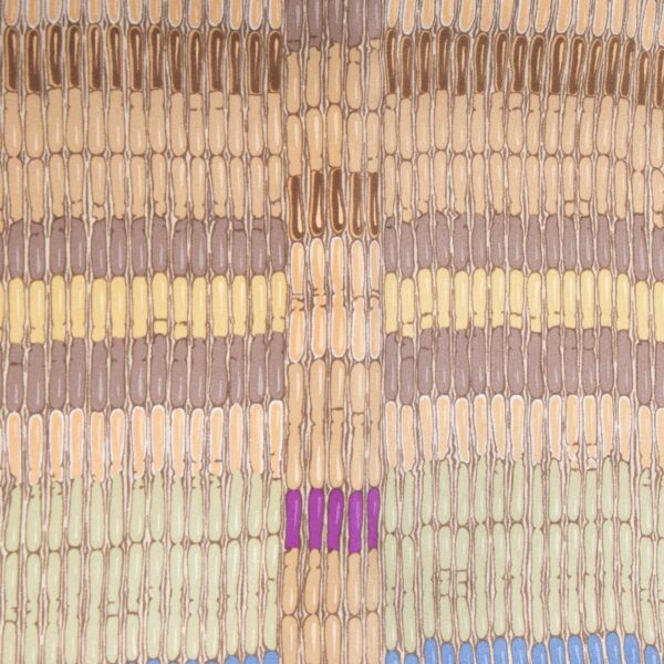 Delvaux Multicolor Scarf