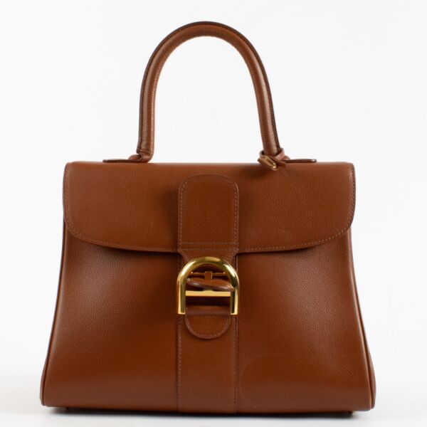 Authentic Second Hand Delvaux Alezan Jumping Brillant MM on Labellov.com