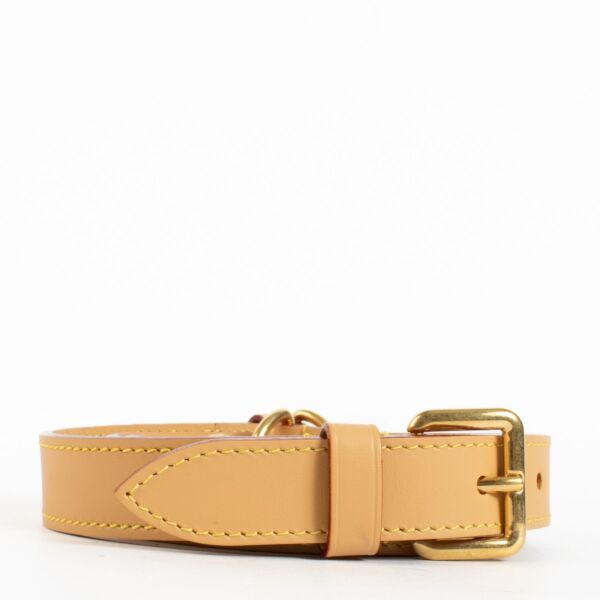 Louis Vuitton Vachetta Bag Strap