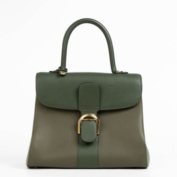 Authentic pre-loved Delvaux Kaki Rodeo Calf Camaieux Brillant MM Bag on Labellov.com